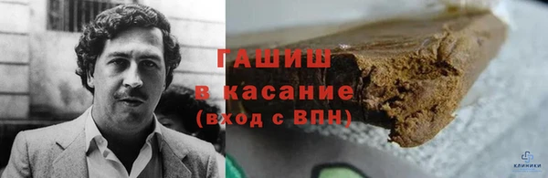 прущие грибы Михайловка