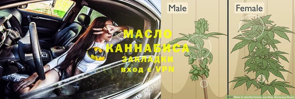 spice Михайлов