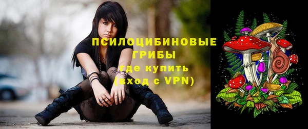 spice Михайлов