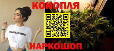 сатива Донской