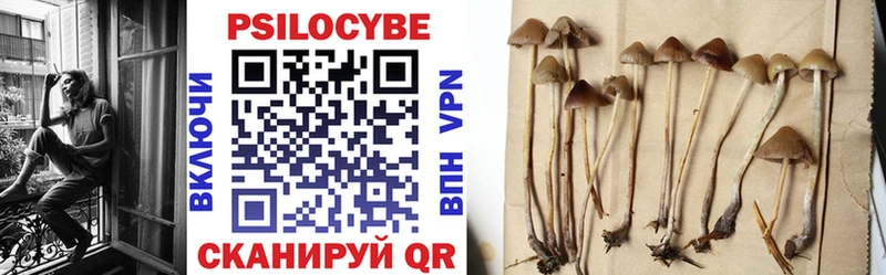 где найти наркотики  Отрадный  Галлюциногенные грибы MAGIC MUSHROOMS 