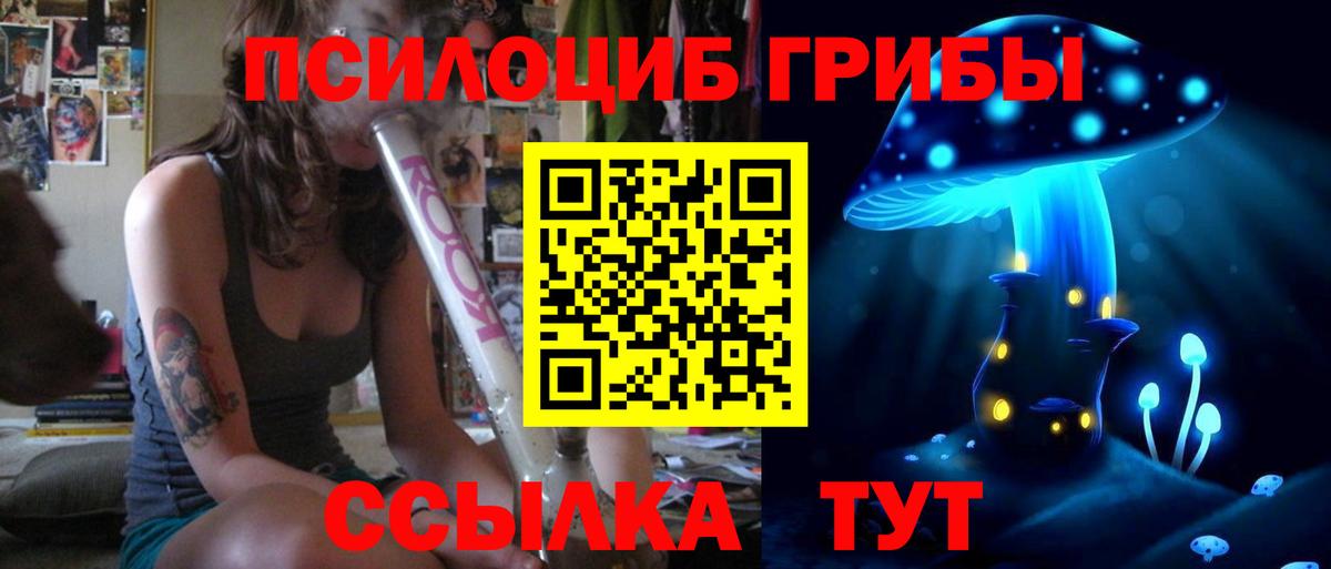 Галлюциногенные грибы Psilocybe  Вход с VPN  Отрадный  где купить наркотик  Псилоцибиновые грибы прущие грибы 
